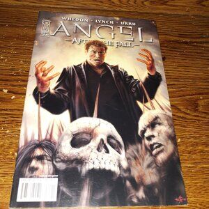 Angel: After the Fall #15 (IDW Comics, 2008)  Cover Variant A